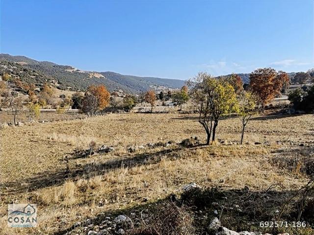 TEŞVİK BÖLGESİNDE SATILIK ARAZİ