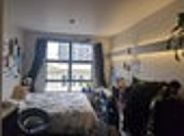 Te Aro, Studio, $330 pw