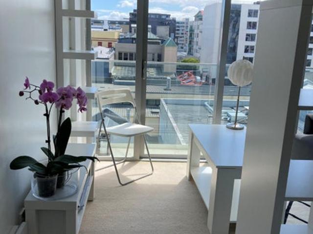te aro, studio