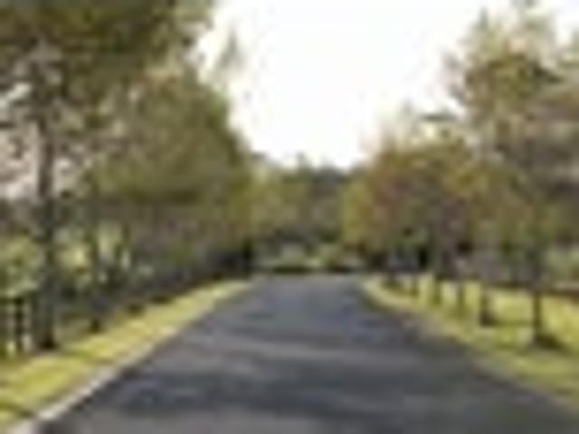 Te Arai Estate