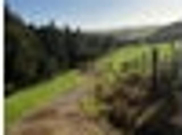 Te Arai, 3 bedrooms, $730 pw