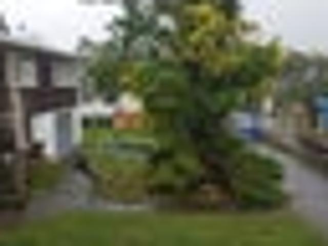 Te Atatu Peninsula, 3 bedrooms, $560 pw