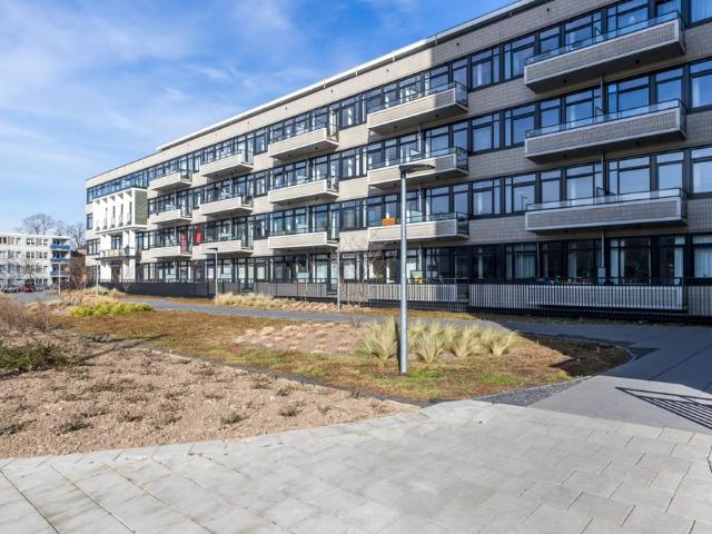 Te huur: Nijenoord 219