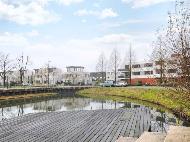 Te huur: Aartsbisschop Romerostraat 649