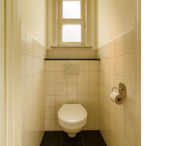 Te huur: Appartement Minervalaan in Amsterdam