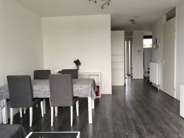 Te huur: Appartement Adamshofstraat in Rotterdam