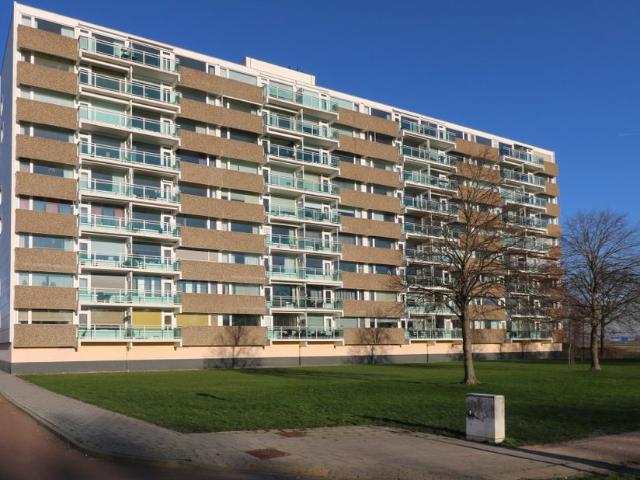 Te huur: Appartement Berkenstraat 42 in Oost Souburg