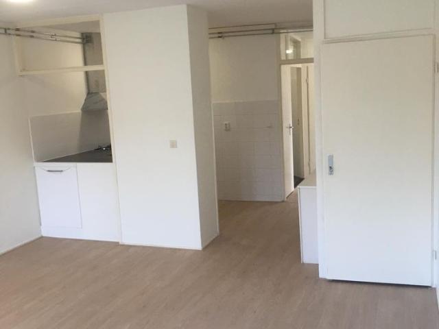 Te huur: Appartement Bozenhoven in Mijdrecht