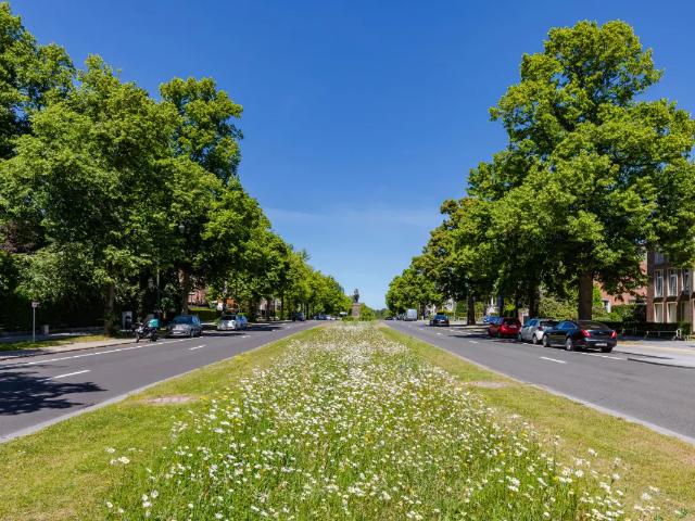 te huur Appartement Brussel