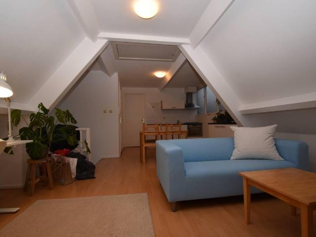 Te huur: Appartement Copernicusstraat in Den Haag