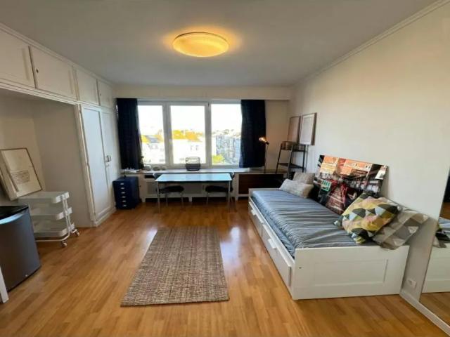 te huur Appartement Elsene