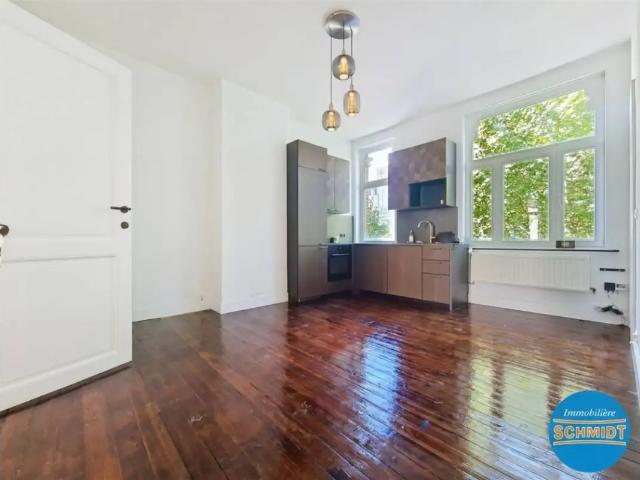 te huur Appartement Elsene