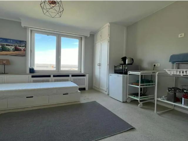 te huur Appartement Elsene
