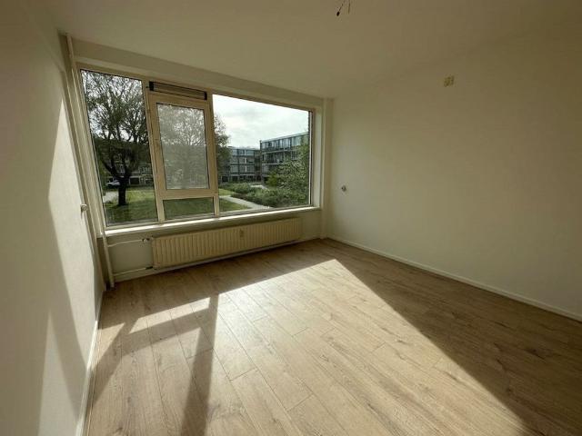 Te huur: Appartement Fichtestraat in Rotterdam