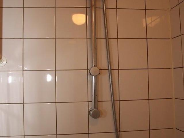 Te huur: Appartement Leeuwenstraat in Rotterdam