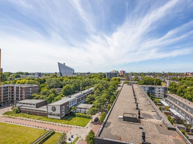 Te huur: Appartement Loevesteinlaan in Den Haag