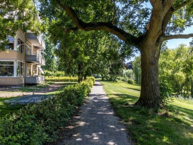 Te huur: Appartement P.C. Hooftlaan in Deventer