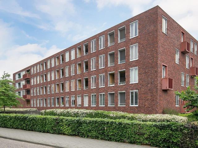 Te huur: Appartement Paulus Potterstraat in Eindhoven