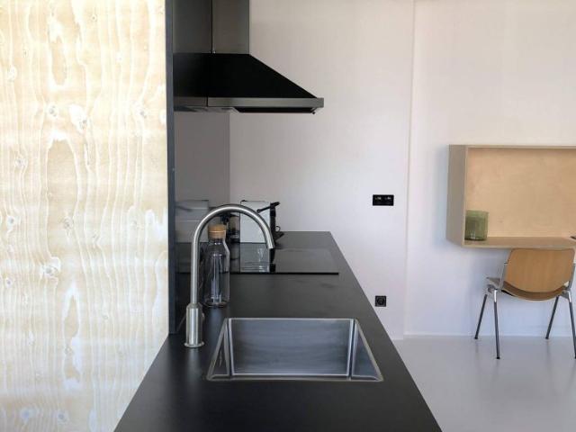 Te huur: Appartement Professor Pieter Willemsstraat in Maastricht