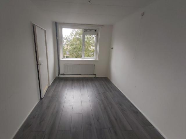 Te huur: Appartement Quintusweg in Haren Gn