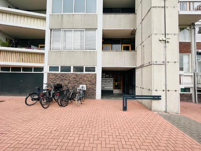 Te huur: Appartement Stokroosstraat 267 in Den Haag