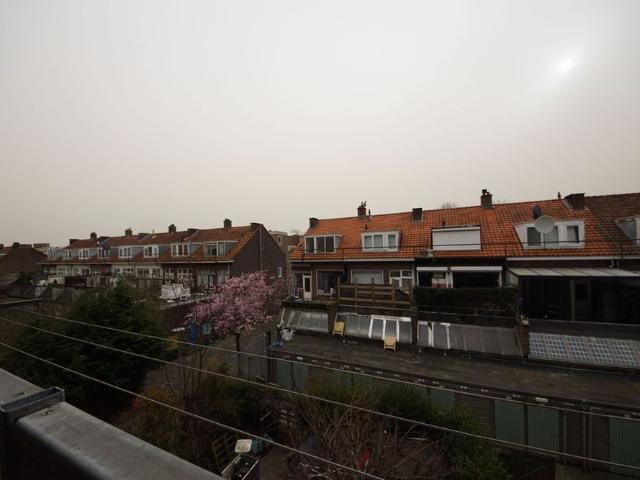 Te huur: Appartement Schiedamseweg in Rotterdam
