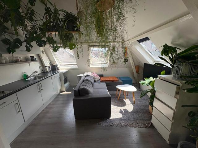 Te huur: Appartement Veldhovenring in Tilburg
