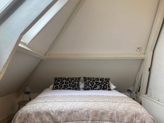 Te huur: Appartement Westerbaenstraat 116 B in Den Haag