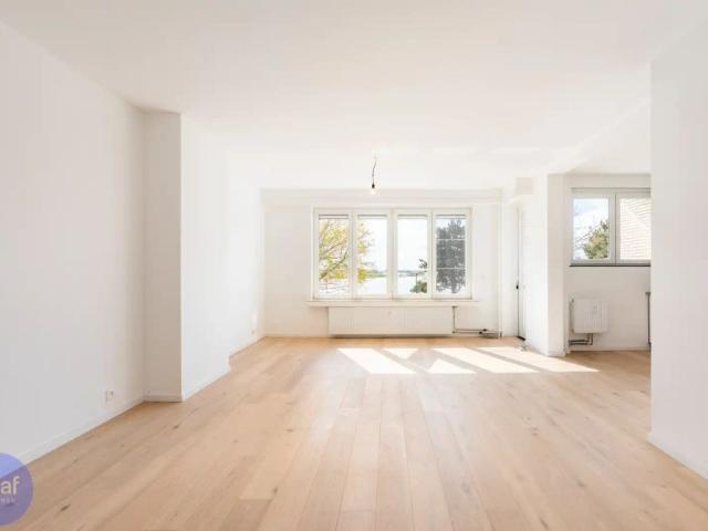 TE HUUR/ Gerenoveerd appartement met 2 slaapkamers, groot terras en zicht op het Galgenweel + 2 kelderbergingen