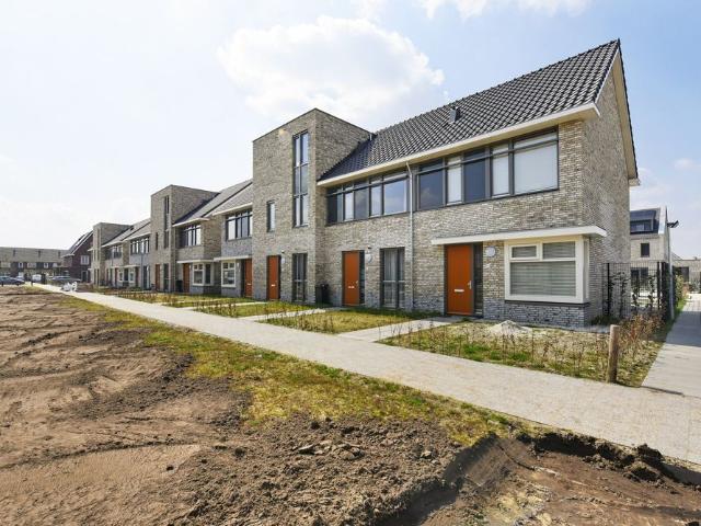 Te huur: Glanslibel 3