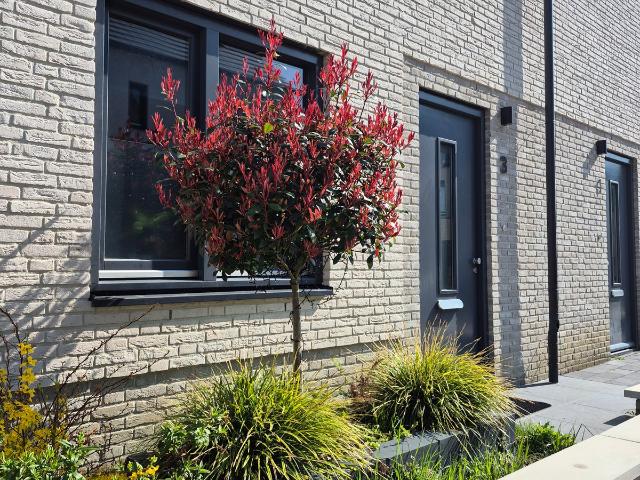 Te huur: Huis Stijging in Eindhoven