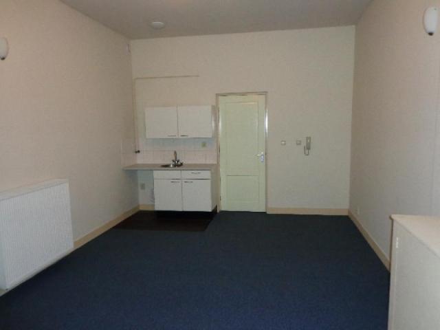 Te huur in Driebergen: een 2 kamer appartement in