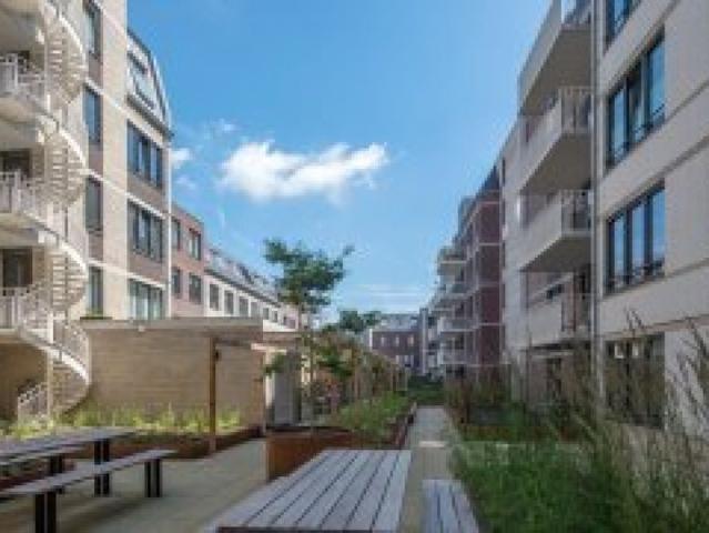 Te huur: Jongeneelstraat 71