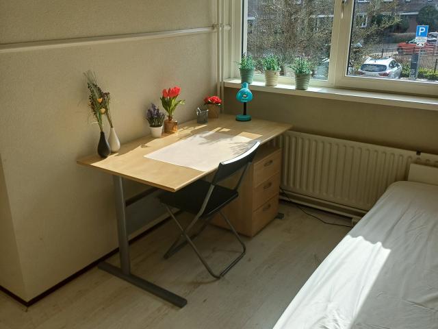 TE HUUR: kamer in LISSE / Bollenstreek