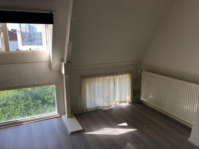 Te huur: Kamer Sonsbeeksingel in Arnhem