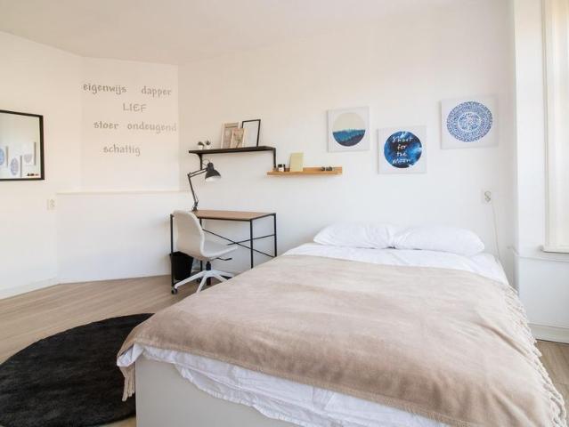 Te huur: Kamer Vreeswijkstraat in Den Haag