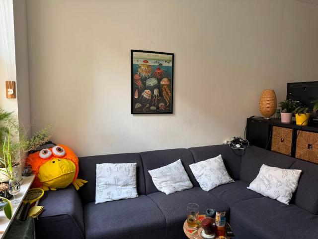Te huur: Kamer Zadelstraat in Utrecht