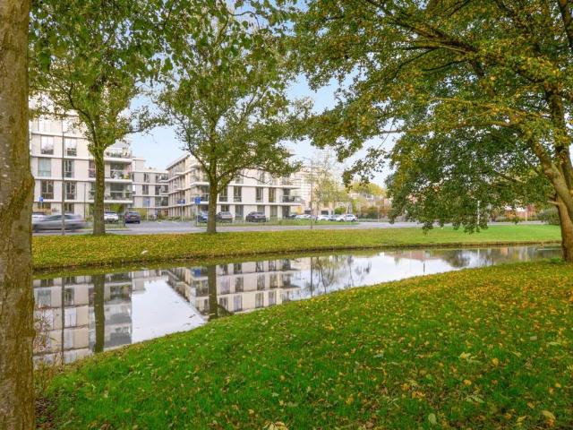 Te huur: Klaasje Zevensterstraat 417