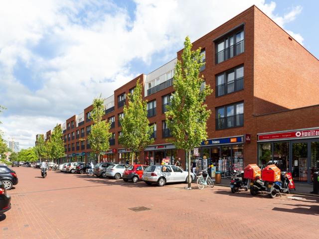 Te huur: Laan van Nieuw Guinea, 3531 JE Utrecht