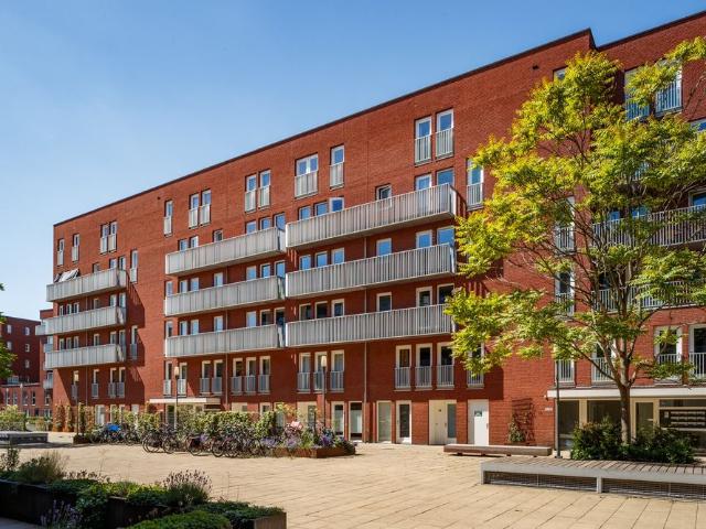 Te huur: Rolderdiephof 59