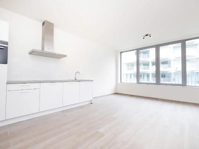 te huur Studio Brussel