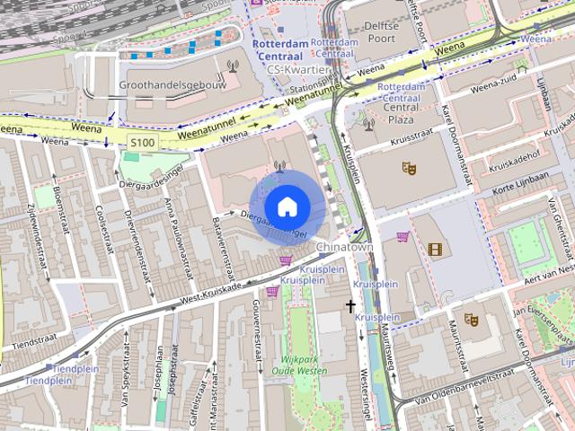 Te huur: Studio Diergaardesingel 87 A kamer 1 in Rotterdam