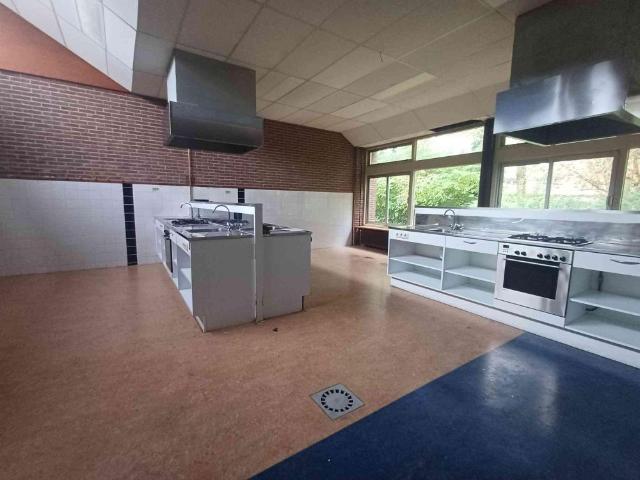 Te huur: Studio Dovenetel in Zwaag
