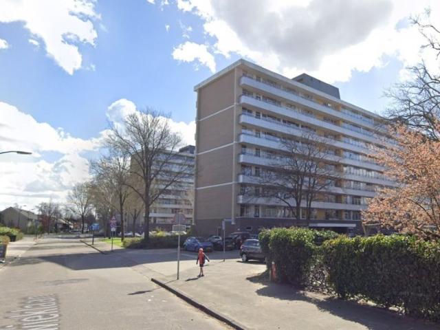 Te huur: Spreeuwlaan 38