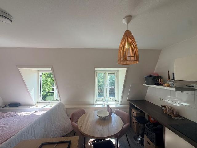 Te huur: Weerdsingel W.Z. 53, 3513 BE Utrecht
