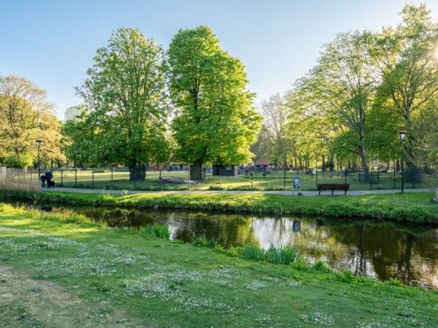 Te huur: Willem de Zwijgerlaan 217