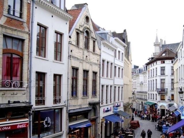 te koop Opbrengsteigendom Brussel
