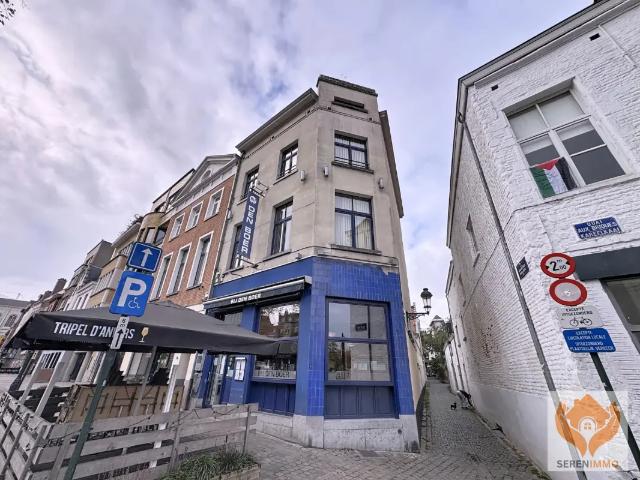 te koop Opbrengsteigendom Brussel
