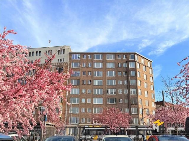 te koop Appartement Antwerpen
