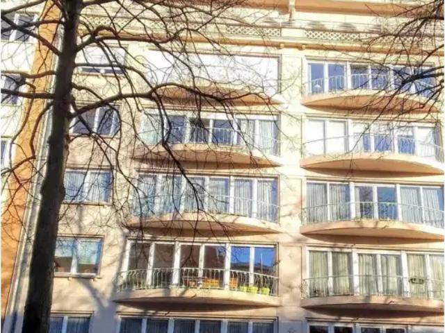 te koop Appartement Elsene